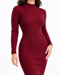 Slim Fit Dress - فستان تريكو صوف